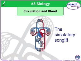 Circulation and Blood - Science at Sandringham SAS!