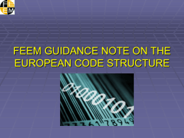 FEEM GUIDANCE NOTE ON THE EUROPEAN CODE STRUCTURE …