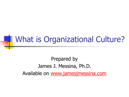 What is Organizational Culture