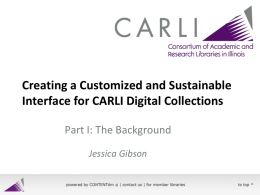 Creating a Customized and Sustainable Interface for CARLI