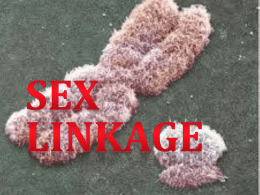 Sex Linkage - Ms. Petrauskas' Class