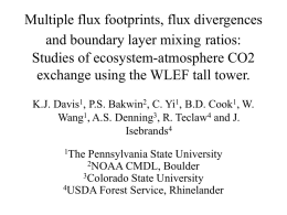 Multiple flux footprints, flux divergences and boundary