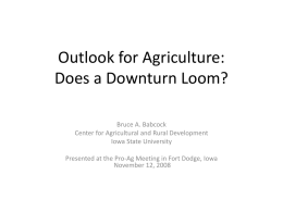 Outlook for Agriculture: Does a Downturn Loom?