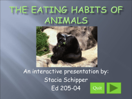 The Eating Habits of Animals - Junction Hill Elementary School