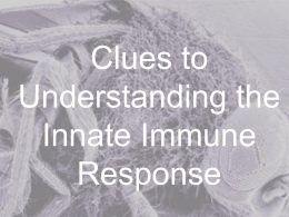 Clues to Understanding the Innate Immune Response