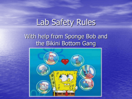 Lab Safety Rules