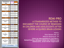 Remi-Pro: a standardizes method to document the course of