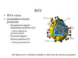 RSV - Perinat
