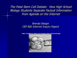 The Fetal Stem Cell Debate: Separating Fact from Feelings
