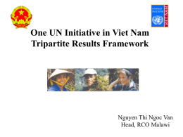 One UN Initiative in Viet Nam