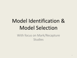 Model Identification & Model Selection