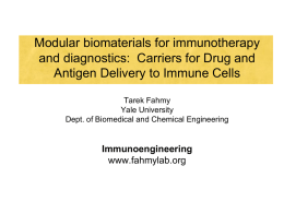 A comprehensive platform for T cell Stimulation based on