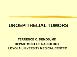 UROEPITHELIAL TUMORS - Stritch School of Medicine
