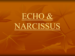 ECO Y NARCISO(INGLES)