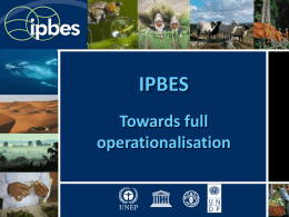 Plans for the Full Operationalisation of IPBES