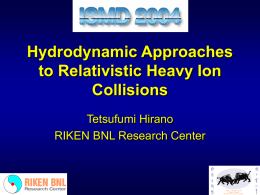 Hydrodynamic Approaches to Relativistic Heavy Ion Collisions