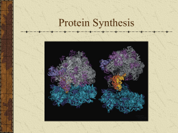 Protein Synthesis - Mt. SAC Faculty Contact Directory