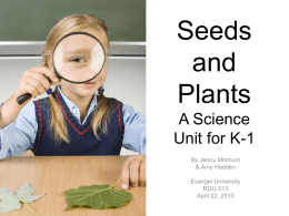 Seeds and Plants A Science Unit for K-1