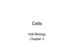 Cells - Building Directory