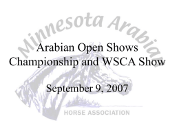 Minnesota Arabian Horse Association