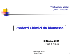 Technology Vision (Milan – Princeton)