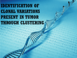 CLUSTERIFICATION OF THE CLONAL VARIATIONS PRESENT IN A