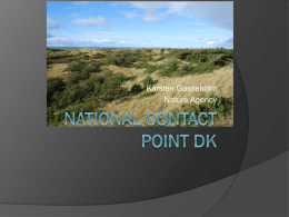 National Contact Point DK
