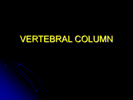 VERTEBRAL COLUMN - University of Kansas Medical Center