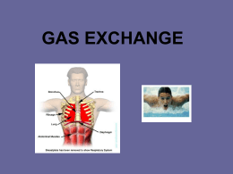 GAS EXCHANGE