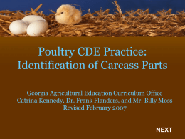 Poultry CDE Practice: Identification of Carcass Parts