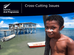 Cross-cutting Issues - MFAT design workshop February 2015
