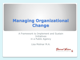Using An Organizational Assessment: