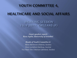 Youth Committee 4, Healthcare and Social Affairs Working