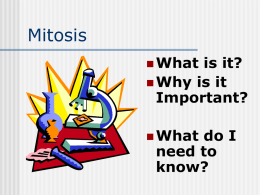 Mitosis - Education Service Center, Region 2