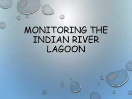 Monitoring the Indian River Lagoon