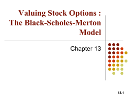 Valuing Stock Options: The Black