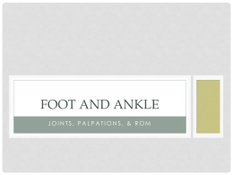 Foot and Ankle - Doral Academy High School