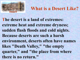 What is a Desert Like?