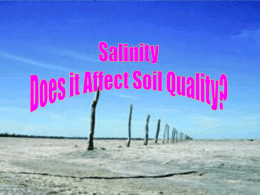 The Effect of Salinity on Irrigation Water Management