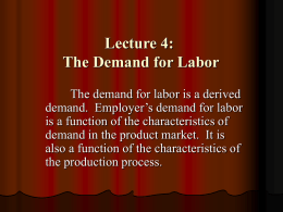 Lecture 4: The Demand for Labor