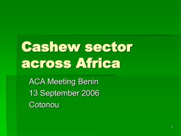 Cashew sector across Africa