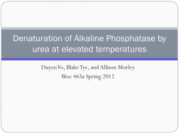 Denaturation of Alkaline Phosphatase by Urea