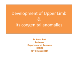 Development of Upper Limb & Its congenital anomalies
