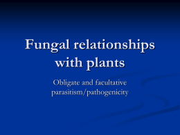 Fungal relationships with plants
