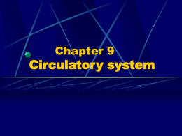 Chapter 9 Circulatory system