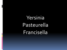 Yersinia,pausteurella,francisella - Young Katuri