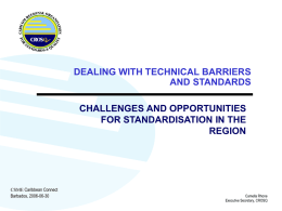 Dealing with technical barriers and standards : challenges