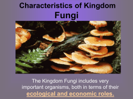 I. Characteristics of Kingdom Fungi