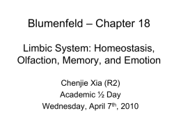 Blumenfeld – Chapter 18 Limbic System: Homeostasis