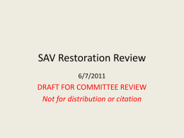 SAV Restoration Review - Chesapeake Research Consortium